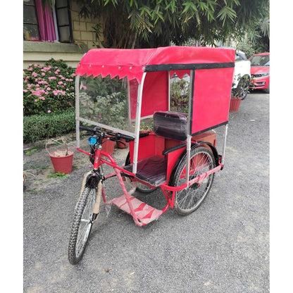 Battery Operated Tricycle with Canopy for Divyang