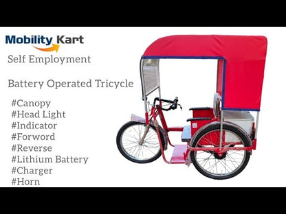 Battery Operated Tricycle with Canopy for Divyang