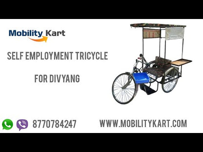 Self Employed Tricycle For Divyang Person