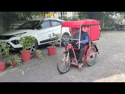 Battery Operated Tricycle with Canopy for Divyang