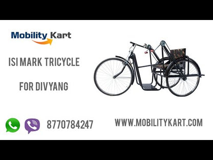 ISI Mark Tricycle For Divyang Person